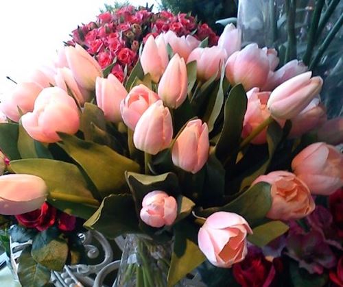 buket-med-tulipaner.jpeg