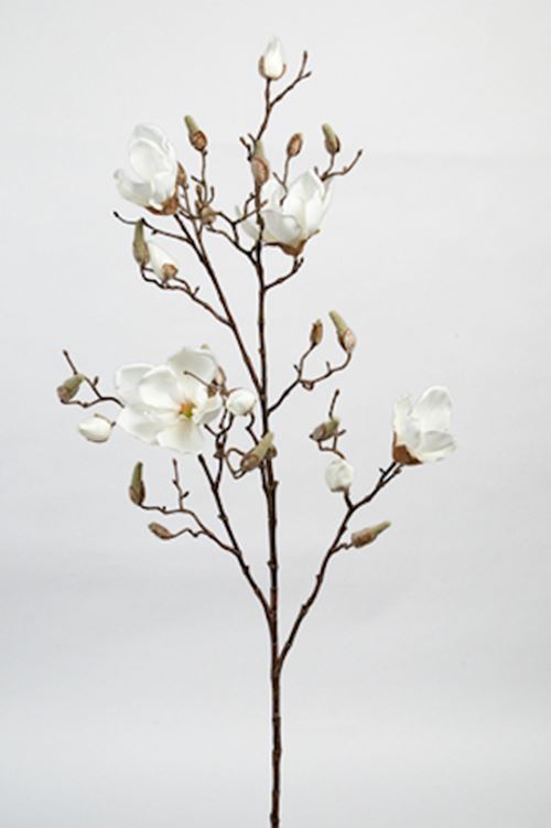 magnoliagren-crem-110-cm.jpeg