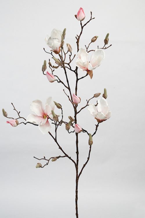 magnoliagren-rosa-110-cm.jpeg
