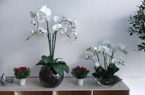 Hvide orkideer i glasskåle.jpg