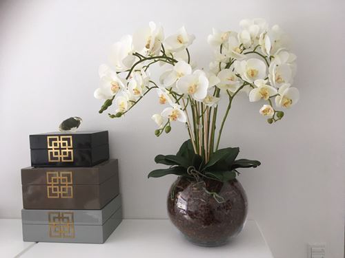 Hvid orkide i glasbowle.jpg