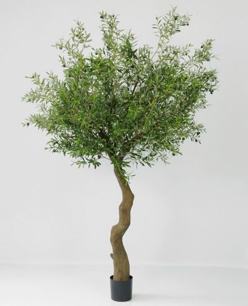 Kunstigt Oliventræ
