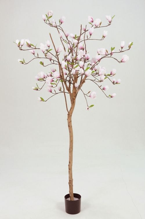 Kunstigt magnoliatræ 180cm
